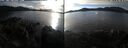 ./images/rivers-inlet/ethel/20241101/ethel20241101_153458.jpg