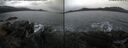 ./images/rivers-inlet/ethel/20241102/ethel20241102_140458.jpg