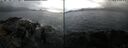 ./images/rivers-inlet/ethel/20241104/ethel20241104_104958.jpg