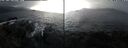 ./images/rivers-inlet/ethel/20241104/ethel20241104_125458.jpg