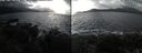 ./images/rivers-inlet/ethel/20241104/ethel20241104_133958.jpg