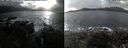 ./images/rivers-inlet/ethel/20241104/ethel20241104_134958.jpg