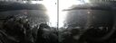 ./images/rivers-inlet/ethel/20241104/ethel20241104_150958.jpg