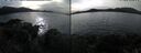./images/rivers-inlet/ethel/20241105/ethel20241105_124958.jpg