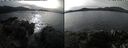 ./images/rivers-inlet/ethel/20241105/ethel20241105_125458.jpg