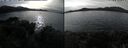 ./images/rivers-inlet/ethel/20241105/ethel20241105_130458.jpg