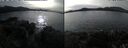 ./images/rivers-inlet/ethel/20241105/ethel20241105_131458.jpg