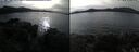 ./images/rivers-inlet/ethel/20241105/ethel20241105_131958.jpg