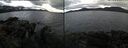 ./images/rivers-inlet/ethel/20241106/ethel20241106_134458.jpg