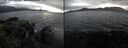 ./images/rivers-inlet/ethel/20241106/ethel20241106_154458.jpg