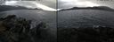 ./images/rivers-inlet/ethel/20241106/ethel20241106_155958.jpg