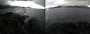 ./images/rivers-inlet/ethel/20241107/ethel20241107_134458.jpg
