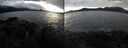 ./images/rivers-inlet/ethel/20241107/ethel20241107_152958.jpg