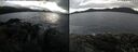 ./images/rivers-inlet/ethel/20241107/ethel20241107_155458.jpg