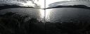 ./images/rivers-inlet/ethel/20241108/ethel20241108_151958.jpg