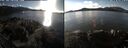 ./images/rivers-inlet/ethel/20241109/ethel20241109_135457.jpg