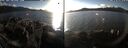 ./images/rivers-inlet/ethel/20241109/ethel20241109_145458.jpg