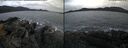 ./images/rivers-inlet/ethel/20241110/ethel20241110_080958.jpg