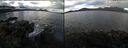 ./images/rivers-inlet/ethel/20241111/ethel20241111_091958.jpg