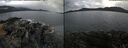 ./images/rivers-inlet/ethel/20241111/ethel20241111_114957.jpg