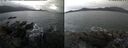 ./images/rivers-inlet/ethel/20241113/ethel20241113_102957.jpg