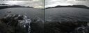 ./images/rivers-inlet/ethel/20241115/ethel20241115_115457.jpg