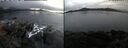 ./images/rivers-inlet/ethel/20241117/ethel20241117_114457.jpg