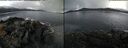 ./images/rivers-inlet/ethel/20241118/ethel20241118_090957.jpg