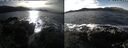 ./images/rivers-inlet/ethel/20241119/ethel20241119_123457.jpg