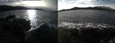 ./images/rivers-inlet/ethel/20241119/ethel20241119_124457.jpg