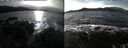 ./images/rivers-inlet/ethel/20241119/ethel20241119_130457.jpg