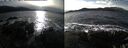 ./images/rivers-inlet/ethel/20241119/ethel20241119_131457.jpg