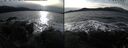 ./images/rivers-inlet/ethel/20241119/ethel20241119_133457.jpg
