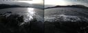 ./images/rivers-inlet/ethel/20241119/ethel20241119_133957.jpg