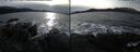 ./images/rivers-inlet/ethel/20241119/ethel20241119_134957.jpg
