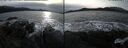 ./images/rivers-inlet/ethel/20241119/ethel20241119_135457.jpg