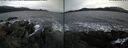 ./images/rivers-inlet/ethel/20241119/ethel20241119_152957.jpg