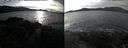 ./images/rivers-inlet/ethel/20241122/ethel20241122_131457.jpg