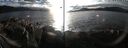 ./images/rivers-inlet/ethel/20241122/ethel20241122_151957.jpg