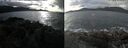 ./images/rivers-inlet/ethel/20241123/ethel20241123_133457.jpg