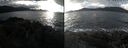 ./images/rivers-inlet/ethel/20241123/ethel20241123_141457.jpg