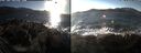 ./images/rivers-inlet/ethel/20241124/ethel20241124_141457.jpg