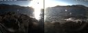 ./images/rivers-inlet/ethel/20241124/ethel20241124_144457.jpg