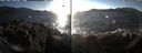 ./images/rivers-inlet/ethel/20241124/ethel20241124_145457.jpg