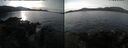 ./images/rivers-inlet/ethel/20241126/ethel20241126_113457.jpg