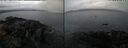 ./images/rivers-inlet/ethel/20241127/ethel20241127_154957.jpg