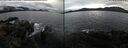 ./images/rivers-inlet/ethel/20241204/ethel20241204_122956.jpg