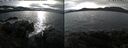 ./images/rivers-inlet/ethel/20241204/ethel20241204_132457.jpg
