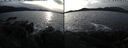 ./images/rivers-inlet/ethel/20241216/ethel20241216_141957.jpg