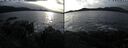 ./images/rivers-inlet/ethel/20241216/ethel20241216_142457.jpg